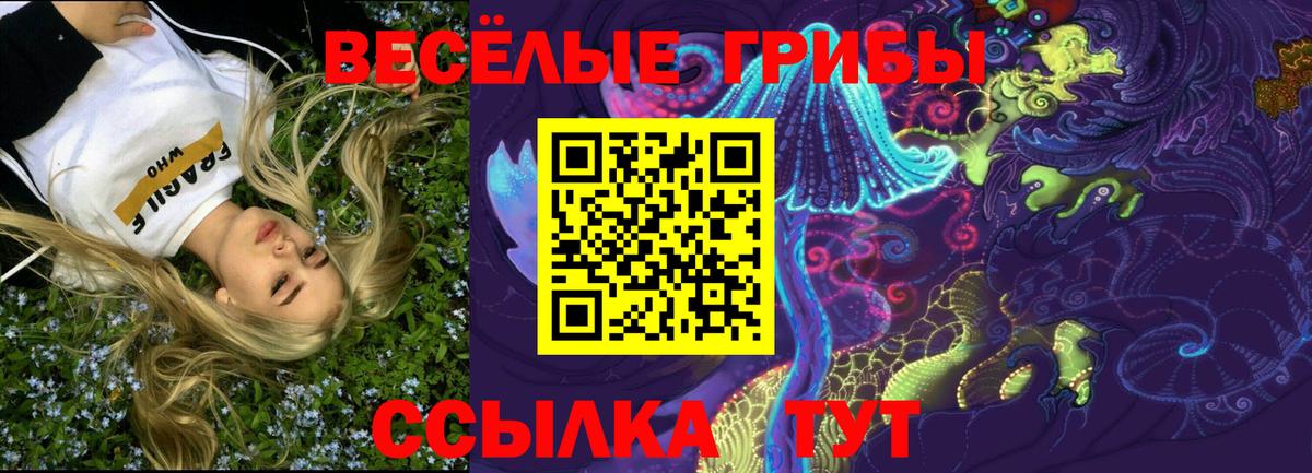 Кашира  Псилоцибиновые грибы GOLDEN TEACHER  Вход с VPN 