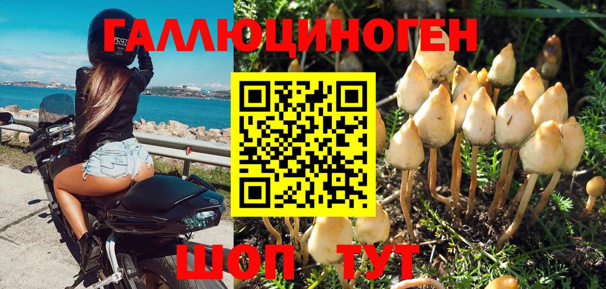ГАШ  Кашира  Альфа ПВП СОЛЬ   МЕФ   Вход с VPN  Купить наркотики  МАРИХУАНА 