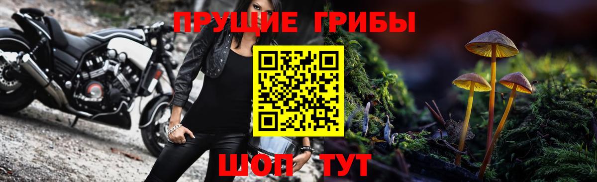 Галлюциногенные грибы Cubensis Кашира